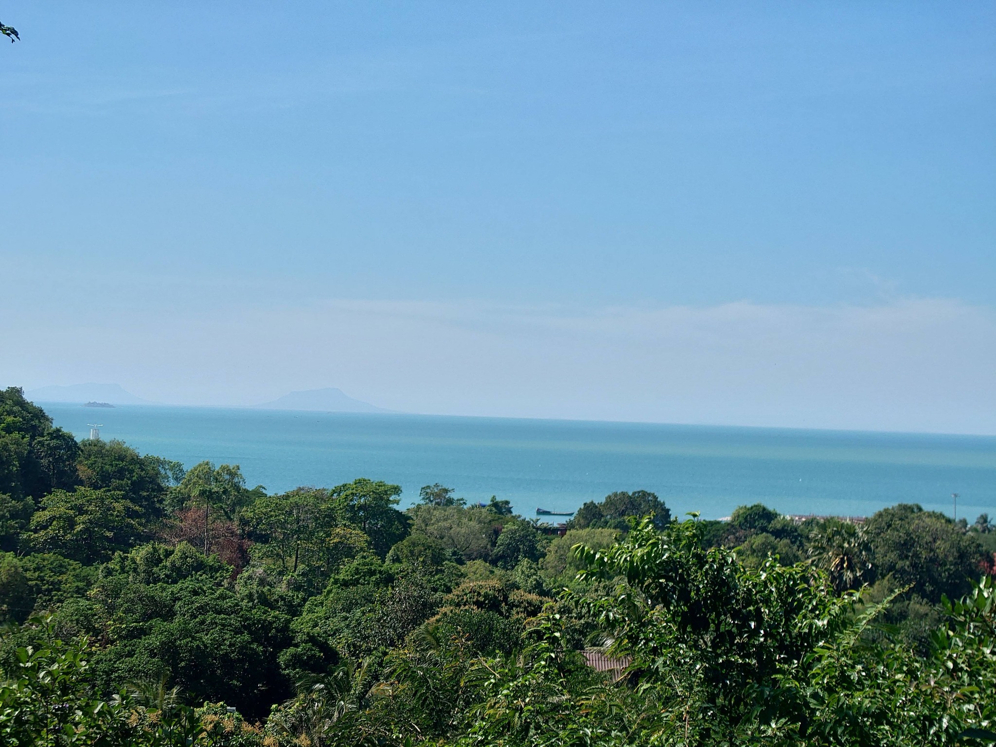 Coastal mangrove landscape in Cambodia