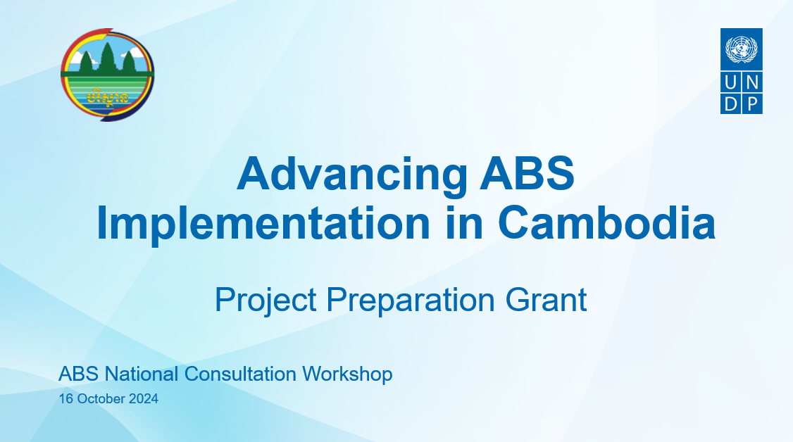 Our Projects abs